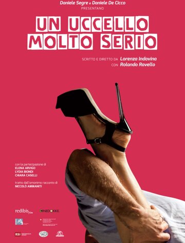 Большие проблемы || Un uccello molto serio (2014)