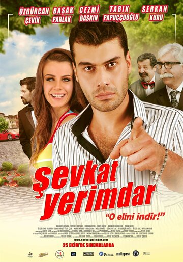 Шевкат Еримдар || Sevkat Yerimdar (2013)