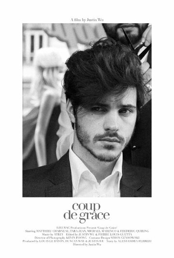 Последний удар || Coup de Grace (2013)