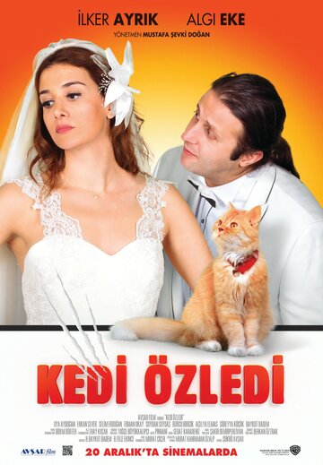 Кошки были пропущены || Kedi Özledi (2013)