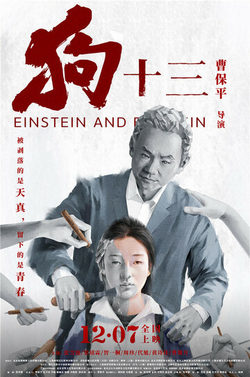 Эйнштейн и Эйнштейн || Gou shi san (2013)