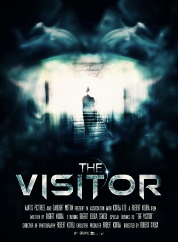 The Visitor (2012)