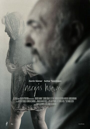 Госпожа Нергиз || Nergis Hanim (2014)