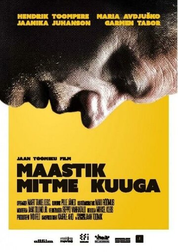 Пейзаж со многими лунами || Maastik mitme kuuga (2014)