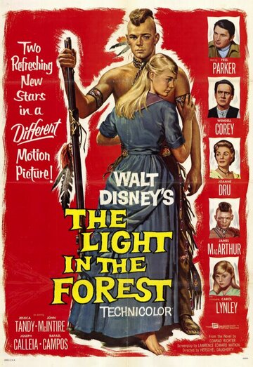 Свет в лесу || The Light in the Forest (1958)