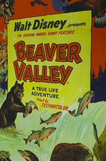 Бивер Вэлей || Beaver Valley (1950)