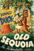 Старая секвойя || Old Sequoia (1945)