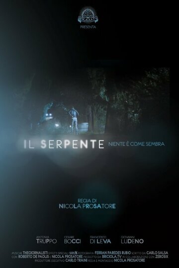 Il serpente, niente è come sembra (2014)