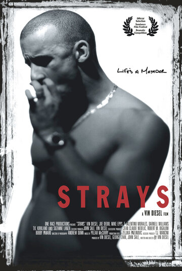 Бродяги || Strays (1997)