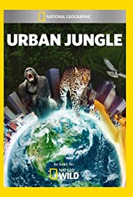 Городские джунгли || Urban Jungle (2014)