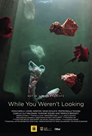 Пока ты не в поиске || While You Weren't Looking (2015)