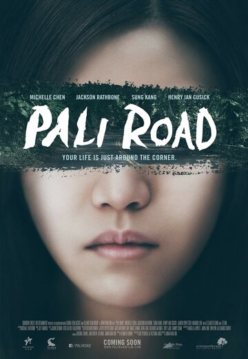 Дорога на Пали || Pali Road (2015)