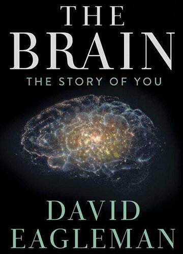 Мозг с Дэвидом Иглменом || The Brain with Dr. David Eagleman (2015)