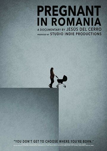 Sunt Insarcinata, in Romania (I Am Pregnant, in Romania) (2016)