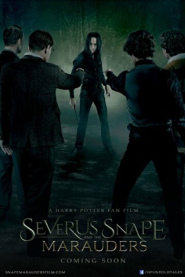 Северус Снегг и Мародеры || Severus Snape and the Marauders (2016)
