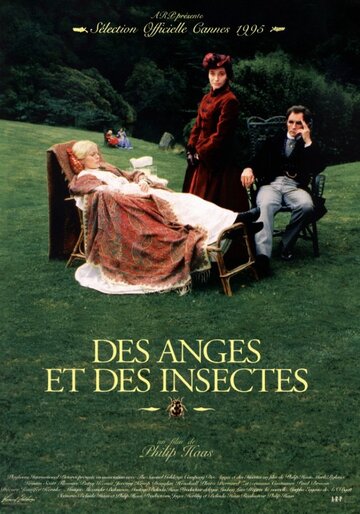 Ангелы и насекомые || Angels and Insects (1995)