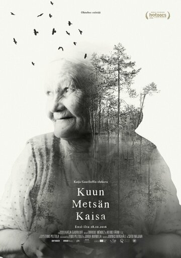 Волшебный лес Кайсы || Kuun metsän Kaisa (2016)