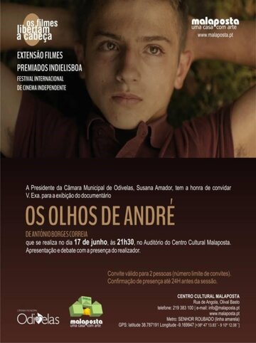 Глаза Андре || Os Olhos de André (2015)