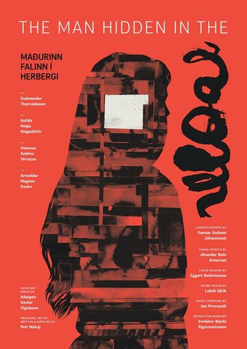 Maðurinn falinn í herbergi (2016)