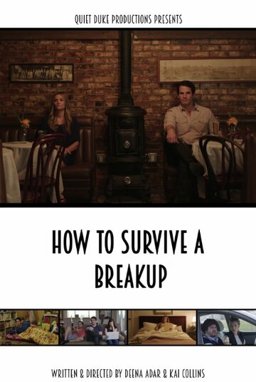Как пережить разрыв || How to Survive a Breakup (2015)