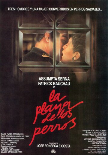 Баллада Собачьего пляжа || Balada da Praia dos Cães (1987)