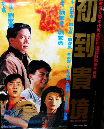 Специалист по проблемам || Chu dao gui jing (1990)