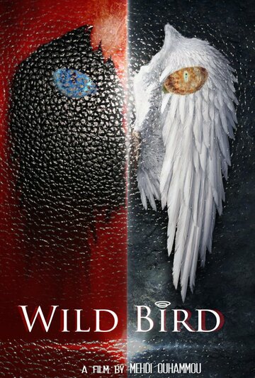 Wild Bird (2016)