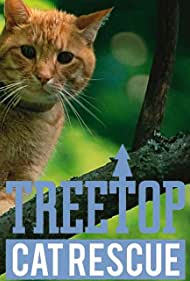 Снимите кошку с дерева || Treetop Cat Rescue (2015)
