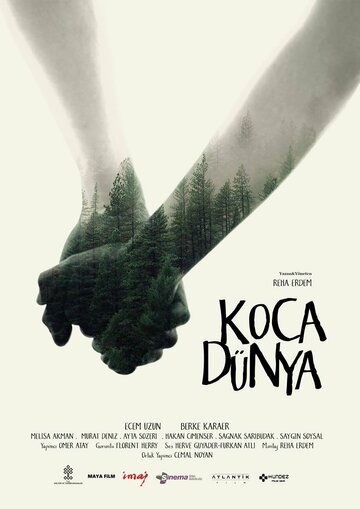 Огромный мир || Koca Dünya (2016)