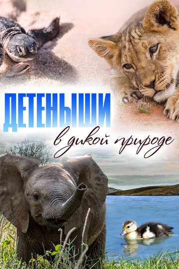 Детеныши в дикой природе || Baby Animals in the Wild (2015)