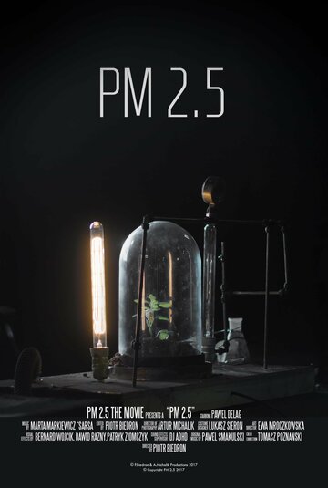 PM 2.5 (2017)