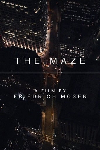 The Maze (2017)