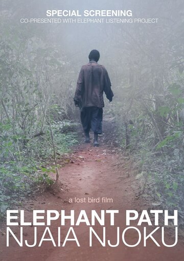 Elephant Path/Njaia Njoku (2017)