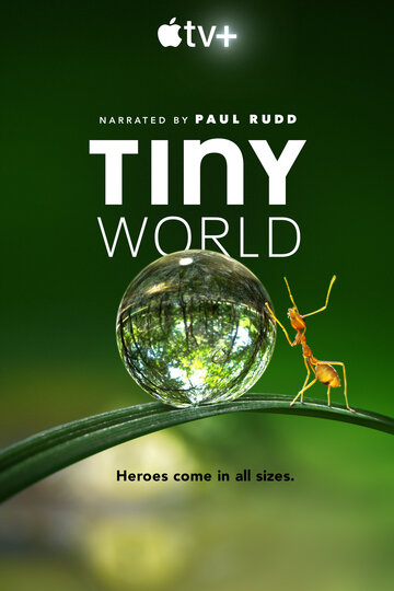 Крошечный мир || Tiny World (2020)