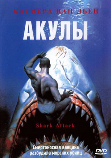 Акулы || Shark Attack (1999)