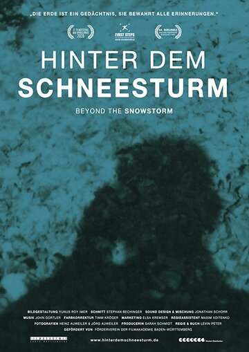 За снежной бурей || Hinter dem Schneesturm (2016)