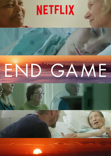 Конец игры || End Game (2018)