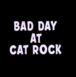 Кошки-мышки на стройплощадке || Bad Day at Cat Rock (1965)