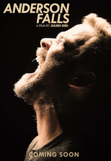 С наступлением ночи || Anderson Falls (2020)