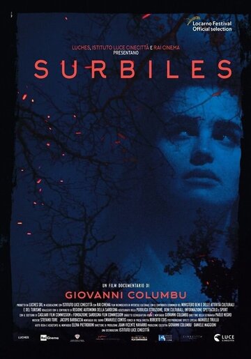 Surbiles (2017)