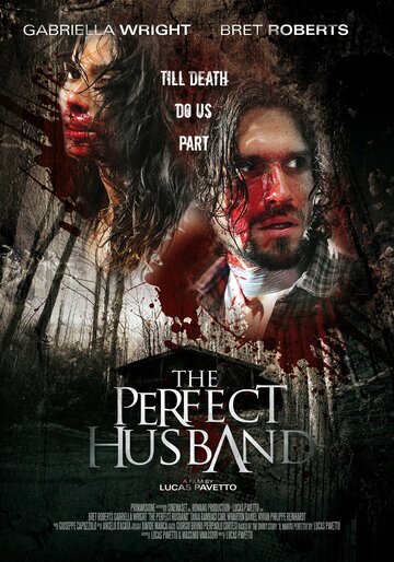 Идеальный муж || The Perfect Husband (2014)