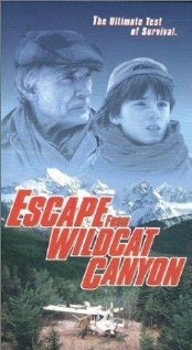 Побег из каньона дикой кошки || Escape from Wildcat Canyon (1998)