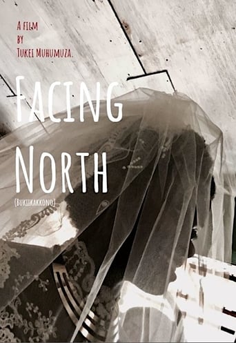 Facing North (2018)
