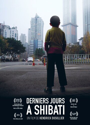 Последние дни в Шибати || Derniers jours à Shibati (2017)