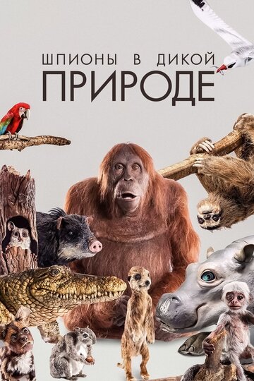 Шпионы в дикой природе || Spy in the Wild (2017)