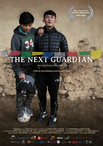 Следующий хранитель || The Next Guardian (2017)