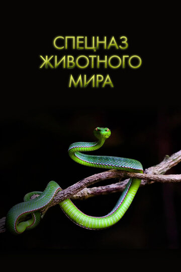 Спецназ животного мира || Animal Special Forces (2018)