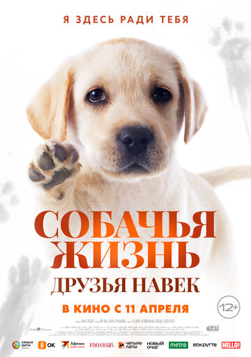 Собачья жизнь: Друзья навек || Zai jian, Li Kele (2023)