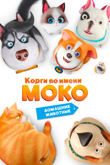 Корги по имени Моко. Домашние животные || Flying MOCO - Pet House (2019)