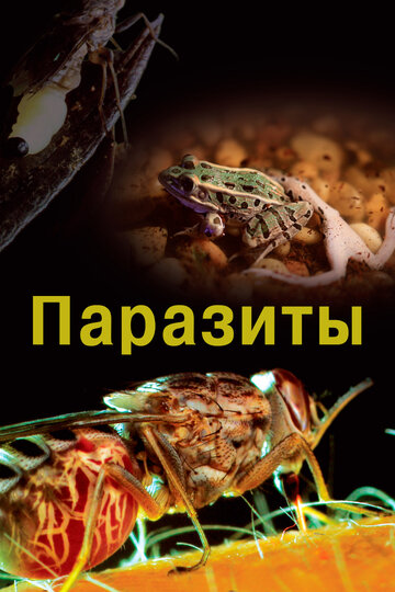 Паразиты || Parasite (2014)